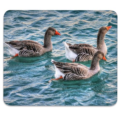 Greylag Geese Swimming on Teal Lake, Nature Wildlife Design Desk Mat - color: Color_DE0014XX