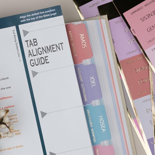 UPAFEXXI-Bible Tabs with Book Summaries, 3D Gold Foil Embossed Lettering - color: Morandi