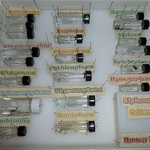PEKYBIO 100 PCS 5ML Clear Small Liquid Sample Glass Vials with Screw Caps - size: 5 ml (100 pieces)