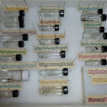 PEKYBIO 100 PCS 5ML Clear Small Liquid Sample Glass Vials with Screw Caps - size: 5 ml (100 pieces)