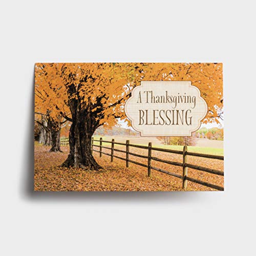 DaySpring - Thanksgiving Blessings – 8 Fall Design Assortment with Scripture – 24 Thanksgiving Boxed Cards & Envelopes (70927)