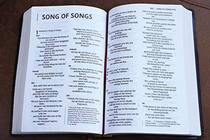 NIV, Thinline Bible, Giant Print, Bonded Leather, Burgundy, Red Letter, Comfort Print