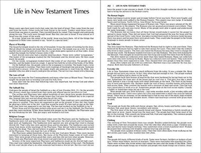 Outreach New Testament: New International Version, Orange Cross
