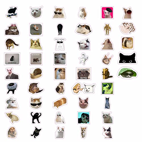 100Pcs Cat Meme Stickers for Water Bottle and Laptop - Waterproof Vinyl - Funny Cat Stickers, Gifts for Women & Men - color: Cat Meme