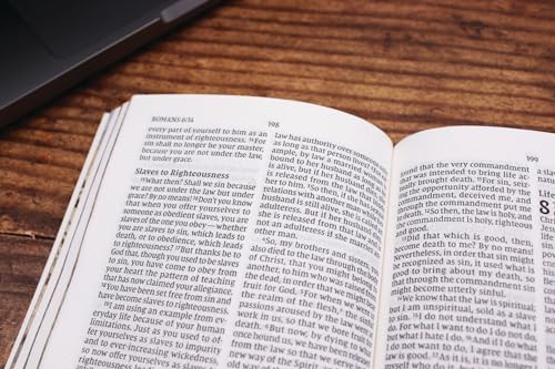 NIV, The Way for Cowboys New Testament with Psalms and Proverbs, Pocket-Sized, Paperback, Comfort Print