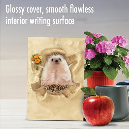 NobleWorks Funny Get Well Greeting Card with 5 x 7 Inch Envelope (1 Card) Sand Angels - Hedgehog C6844CGWG - style: Sand Angels - Hedgehog