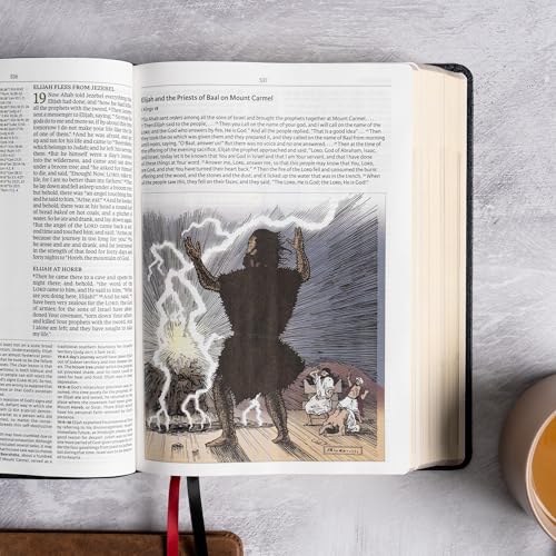 NASB Study Bible, Black Genuine Leather, Full-Color, Red Letter, Study Notes and Commentary, Illustrations, Book Introductions, Articles, Word Studies, Outlines, Timelines, Maps