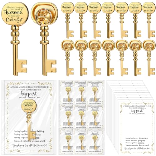 Appreciation Gifts Bulk Key Shape Lapel Pins, 60 Sets, Awesome - style: Awesome