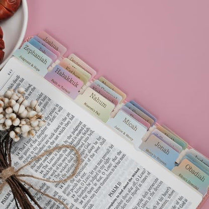 UPAFEXXI-Laminated Bible Tabs with Book Summaries(Rainbow) - color: Summaries Rainbow