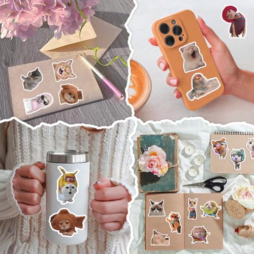 200 PCS Holographic Cat Stickers Pack, Kawaii Cat Meme Stickers Funny Kitten Sticker for Water Bottles Laptop Luggage Suitcase, DIY Waterproof Vinyl Decals Gifts for Adults - style: 200 PCS Holographic Cat Meme Stickers - With Gifts Box