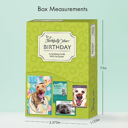 Faithfully Yours Designer Greetings Cute Birthday Boxed Card 12 Pack