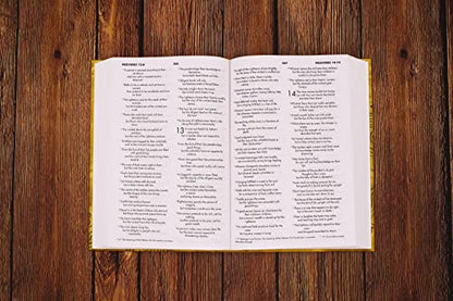 NIV, Textbook Bible for Students, Hardcover, Crinkled Paper with Doodles Design: Great for Christian Education at Home and School
