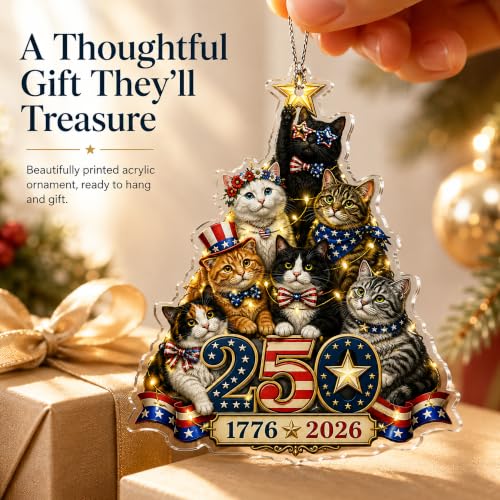 Funny cat Gifts, Cat Ornament for Cat Lover Gifts, Christmas Decorations, Cute Christmas Women Gift - color: 250cat01