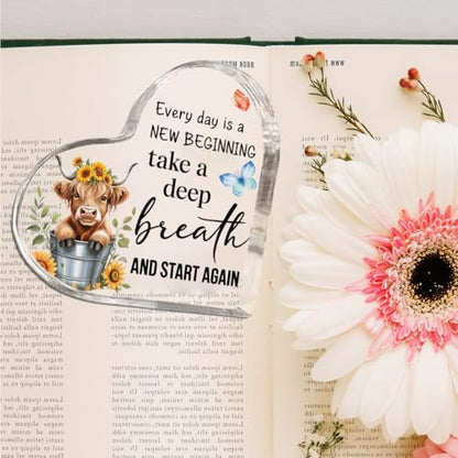Motivational Gifts for Women Highland Cow Gifts for Women Friends Sister - color: New start