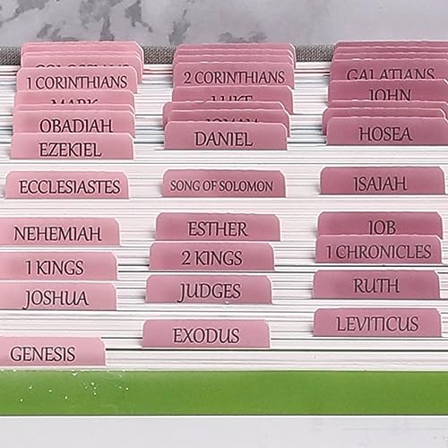 Thinkor Reposition Laminated Bible Tabs, Large Print Pink Stickers, Easy to Read & Apply Bible Tabs for Women and Man - color: Ombre Pink