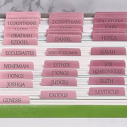Thinkor Reposition Laminated Bible Tabs, Large Print Pink Stickers, Easy to Read & Apply Bible Tabs for Women and Man - color: Ombre Pink