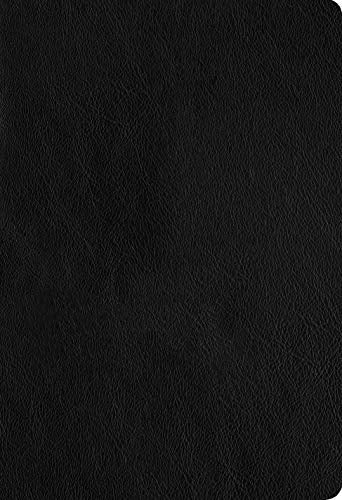 NLT Large Print Thinline Reference Holy Bible (Red Letter, Genuine Leather, Black, Indexed): Includes Free Access to the Filament Bible App Delivering ... Notes, Devotionals, Worship Music, and Video