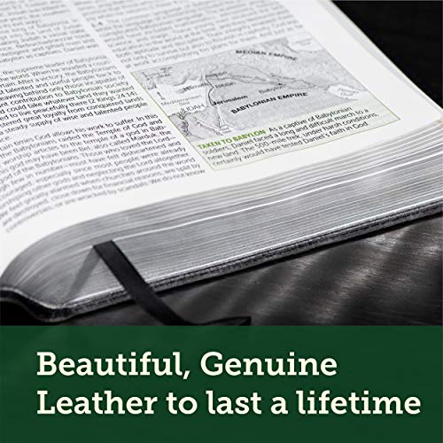 NLT Life Application Study Bible, Third Edition, Large Print (Genuine Leather, Black, Red Letter)