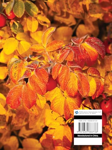Year of Gratitude - Large Print (Daily Prayer Books) (Deluxe Prayer Book)