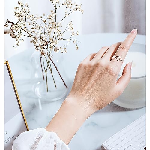 DAOCHONG 925 Sterling Silver CZ Infinity Cross Ring Inspirational Jewelry - color: Infinity Cross