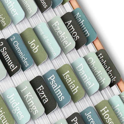 Mr. Pen- Bible Tabs, 75 Tabs, Frozen Lake Theme - color: Frozen Lake