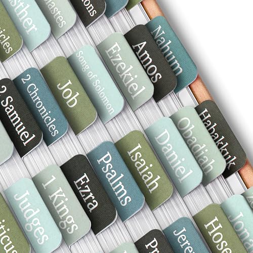 Mr. Pen- Bible Tabs, 75 Tabs, Frozen Lake Theme - color: Frozen Lake