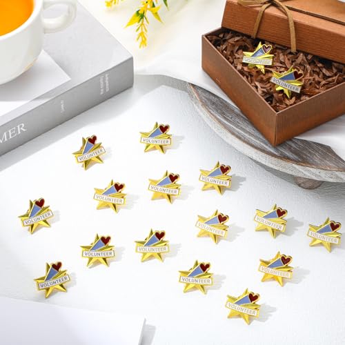 Tondiamo 50 Pcs Volunteer Awards Gifts Star Bulk Lapel Pins Christmas Recognition Star Pins Reward