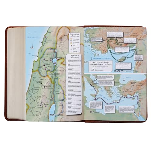 KJV Holy Bible, Compact Large Print Faux Leather Red Letter Edition - Ribbon Marker, King James Version, Saddle Tan