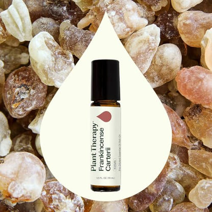 Plant Therapy Frankincense Carterii Essential Oil Pre-Diluted Roll-On - style: Convenient