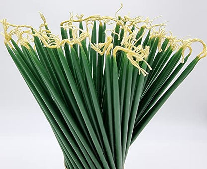 TALISMAN4U 50 Green Beeswax Taper Prayer Candles 11inch Holy Land Jerusalem - color: Green
