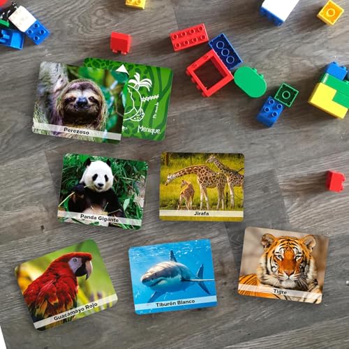 Menique Wild Animals Memory Matching Game – 80 Cards (40 Pairs) with Real Photos – Includes Educational Booklet with Animal Facts – Fun & Cognitive Game for Kids and Adults - style: Wild Animals