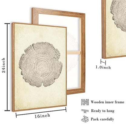 Anyzal Large Neutral Tree Ring Wood Framed Canvas Wall Art - color: Neutral Tree Ring, size: 24"L x 16"W