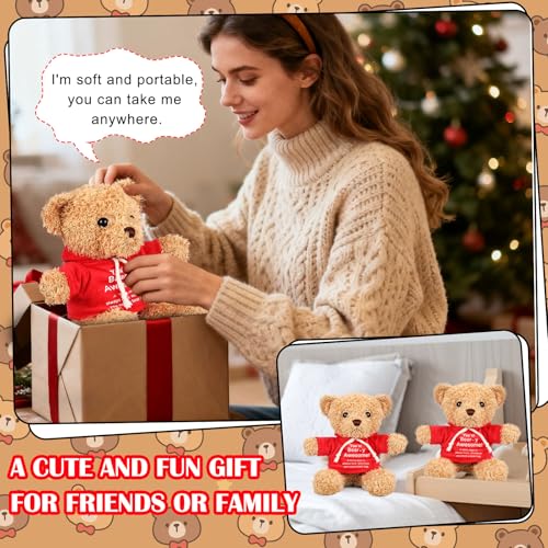 Hollowfly 9.84 Inch Christmas Teddy Bear Stuffed with Positive Messages Cute Red Hoodie Bear Playthings Gifts for Women Men Coworker Birthday Positive Creative Decor - size: 9.84 Inch, style: Clothes-up Bear