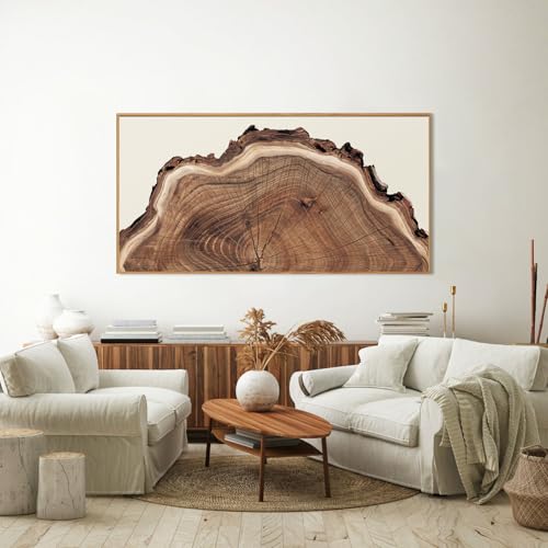 SIKERIC Framed Nature Tree Ring Wall Art, (40X20 inch) Modern Wood Stump Canvas Wall Art Set Of 1,Large Wood Tree Spiral Art Prints, Abstract Wall Painting for Living Room, Bedroom, Office - color: Nature Tree Ring, size: 39.4"L x 19.7"W