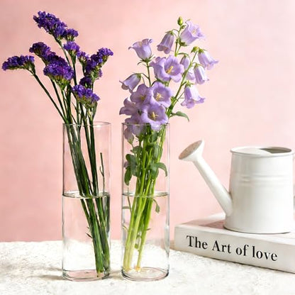 Brajttt16 Pack Glass Cylinder Vase, 7" H×2" W Clear Vases for Centerpieces - size: Smooth-16PCS