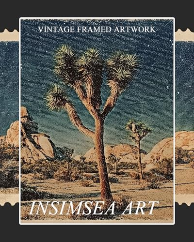 InSimSea Framed Canvas Wall Art, Western Desert Cactus, 10x8 Inch - color: Mail in the Wilderness
