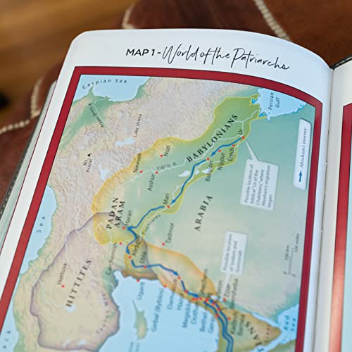 NKJV, Thinline Bible Youth Edition, Leathersoft, Brown, Red Letter, Comfort Print: Holy Bible, New King James Version