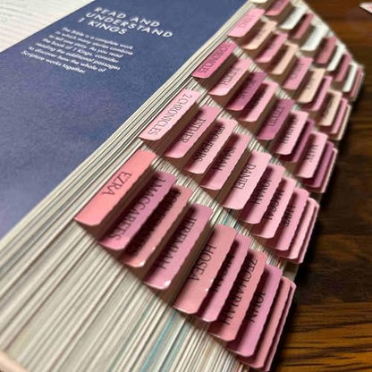 Pink Repositionable Bible Tabs for Women, Laminated Large Print Stickers, Easy to Read and Apply, Fits Standard and Catholic Bibles - color: Catholic Pink