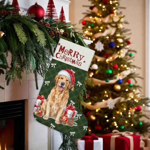 Golden Retriever Green Plaid Christmas Stockings 16 Inch - color: Christmas12