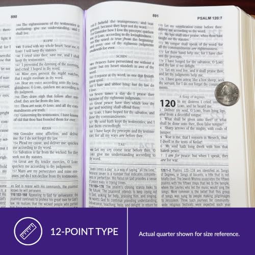 The KJV Study Bible, Large Print [Violet Floret]