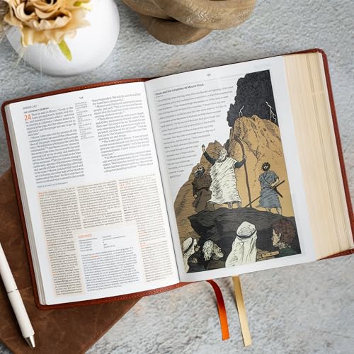 CSB Study Bible, Personal Size, Digital Study Edition, Burnt Sienna LeatherTouch, Red Letter, Study Notes and Commentary, Illustrations, Articles, Word Studies, Outlines, Timelines