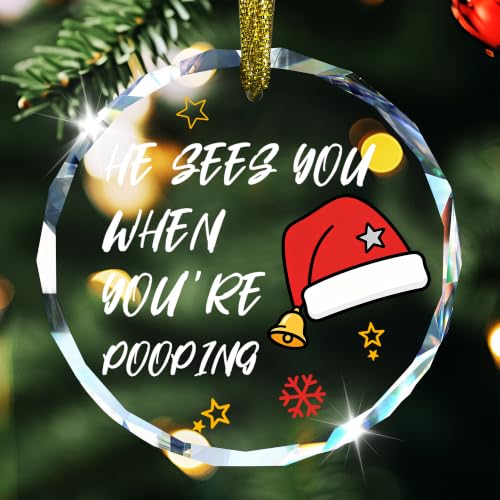Funny Christmas Bathroom Glass Hanging Ornament Sign - style: Santa Hat