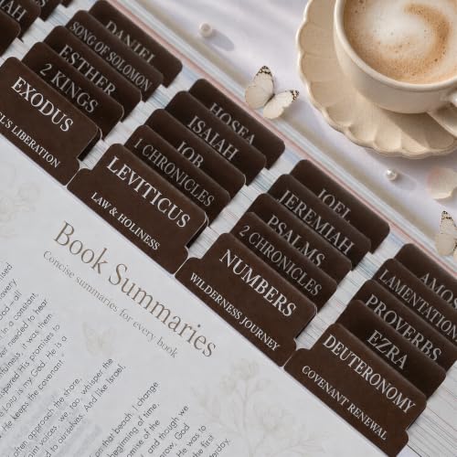 UPAFEXXI-Laminated Bible Tabs with Book Summaries, Bible Study Supplies - color: Summaries Brown2