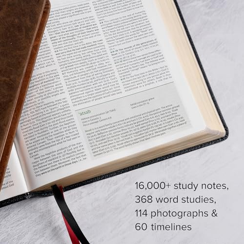 NASB Study Bible, Black Genuine Leather, Full-Color, Red Letter, Study Notes and Commentary, Illustrations, Book Introductions, Articles, Word Studies, Outlines, Timelines, Maps