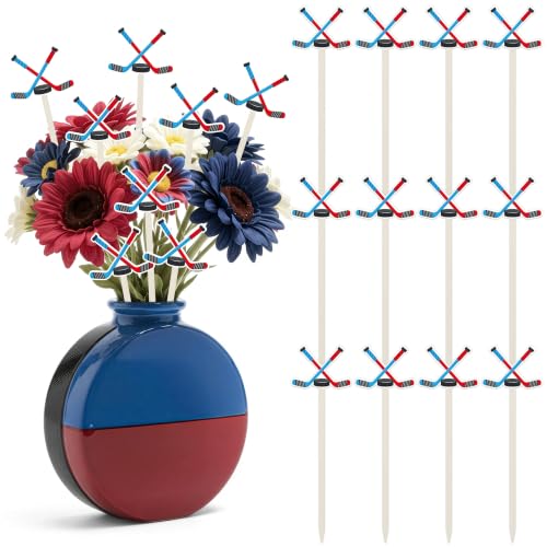 TICIAGA Hockey Wooden Floral Picks - 12PCS Ice Hockey Double-Sided Sticks for Vase Flower Arrangement, 7 Inch Sports Theme Party Table Centerpiece Decor for Birthday Celebration, Home Outdoor Decor - color: Ice Hockey
