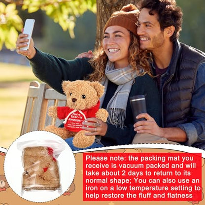 Hollowfly 9.84 Inch Christmas Teddy Bear Stuffed with Positive Messages Cute Red Hoodie Bear Playthings Gifts for Women Men Coworker Birthday Positive Creative Decor - size: 9.84 Inch, style: Clothes-up Bear