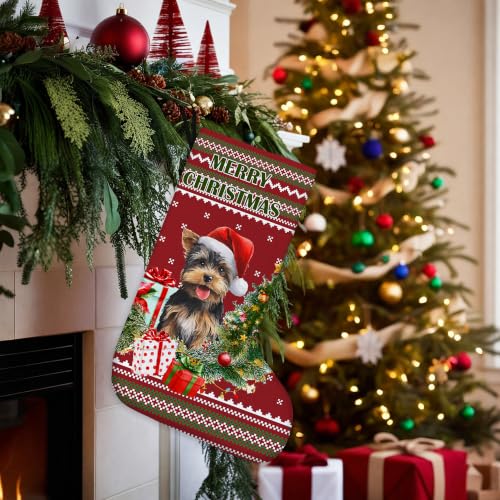 Yorkshire Terrier Red and Green Christmas Stockings 16 Inch - color: Christmas22