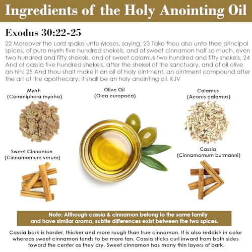 Exodus 30:22-25 Sacred and Holy Anointing Oil, Made from Scratch with Myrrh, Calamus, Cinnamon, Cassia, and Olive Oil Herbal Spices and Essential Oils - 10 mL