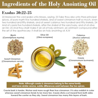 Exodus 30:22-25 Sacred and Holy Anointing Oil, Made from Scratch with Myrrh, Calamus, Cinnamon, Cassia, and Olive Oil Herbal Spices and Essential Oils - 10 mL