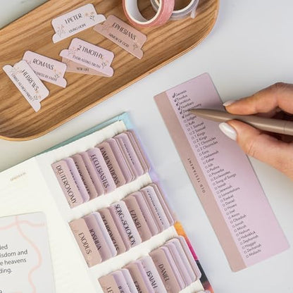 DiverseBee Laminated Bible Tabs with Book Summaries (Canon Theme) - color: Canon